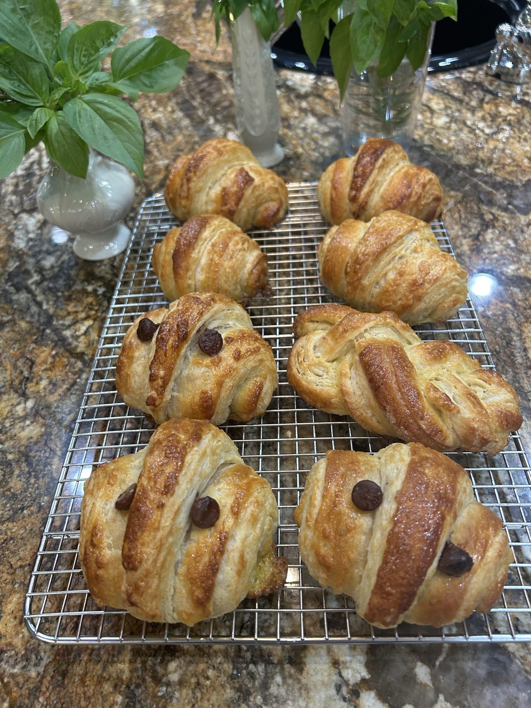 Baked croissants and chocolate-chip croissants cooling on a rack with fresh basil nearby